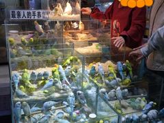 -青石桥花鸟鱼虫市场(叠翠城店)