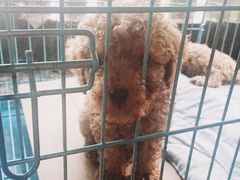 -赢吧Bliss音乐酒吧