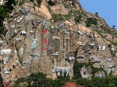 -西霞口神雕山野生动物世界