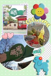 -萌宠亲子动物乐园(槐房万达店)