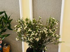 -循礼门鲜花花市(武汉循礼门店)