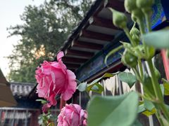 -中卫御苑福膳·养生局(圆明园店)