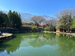 -崇圣寺三塔文化旅游区