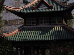 -长沙市青少年宫