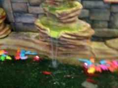 -酷洛小镇(步步高新天地购物广场店)