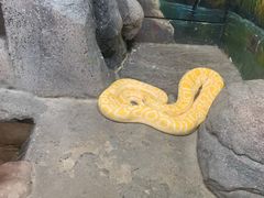 -福州罗源湾海洋世界旅游区