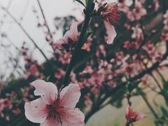 -驿舍·民國老营房院子私房菜(科学会堂店)