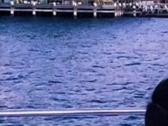 -有红鸡毛店·川菜(建设路店)