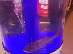 -解家河南菜(北环路店)