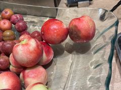 -上海浦东滨江喜来登酒店