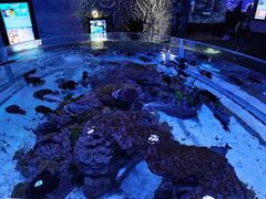 -成都浩海立方海洋公园