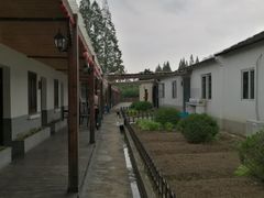 -长兴岛郊野公园农场食堂
