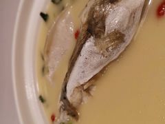 -肆月河豚·新淮扬(金融街店)