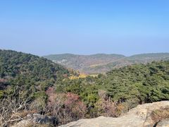 -鲁山国家森林公园