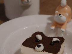 -柴务处·柴犬主题狗咖