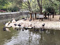 -黔灵山公园
