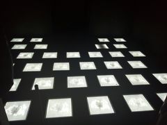 -MOJO密室逃脱(中街旗舰店)