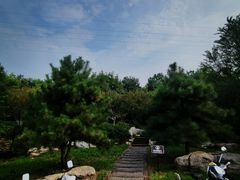 -佛慧山