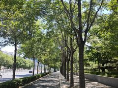 -元大都城垣遗址公园