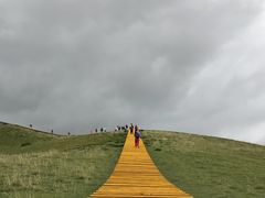 -特克斯八卦城