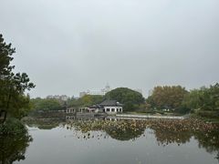 -范蠡湖公园