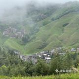 龙脊梯田