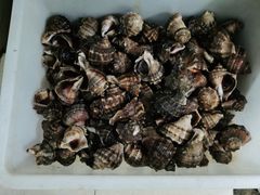 -宾朋海鲜美食特色餐厅·纯手工鲅鱼水饺(兴海路店)