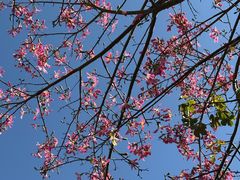 -风云岭森林公园