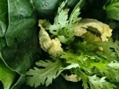 糖焗杂粮-百年果林椰子鸡(中洲店)