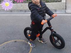-稚马儿童平衡车自行车俱乐部