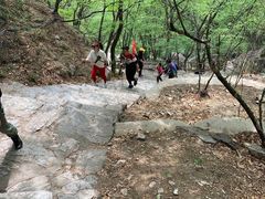 -北京上方山国家森林公园