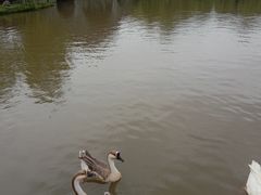 -木兰水镇旅游景区