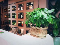 -佐登妮丝美容SPA生活馆