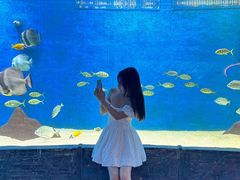 -合肥海洋世界