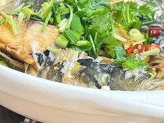 -小小饭店·休闲农庄·安吉松树林里的农家菜