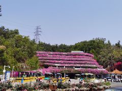 -深圳仙湖植物园