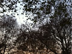 iphone_upload_pic-西湖天地