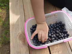 -武汉世外桃源农庄