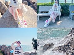 -广东惠东海龟国家级自然保护区