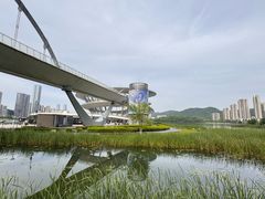 -梅溪湖城市岛