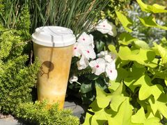 -喜茶(深圳喜荟城店)