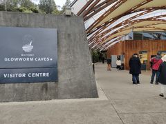 -怀托摩萤火虫洞