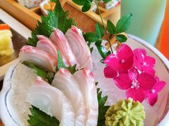冰鲜鲷鱼-酒井酱子·深夜食堂(东城汇店)