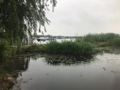 -龙寺生态园