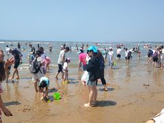 -老虎石海上公园