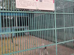 -秦皇岛野生动物园
