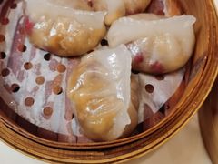 潮州粉果-稻香酒家·35年老字号(侨光店)