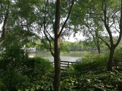 -新江湾城公园