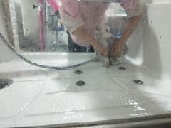 -十年猫舍·猫咪专门店(普陀店)