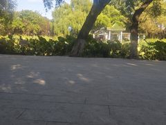-北陵公园
